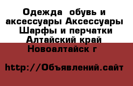 Одежда, обувь и аксессуары Аксессуары - Шарфы и перчатки. Алтайский край,Новоалтайск г.